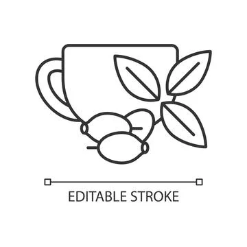 Rosehip tea linear icon Stock Illustration