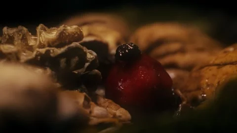 Rosehip with walnut and leaves Stock Footage 318317722