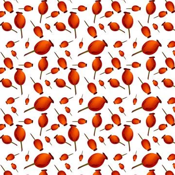 Rosehips pattern. Graphics with orange-brown color on a white background. Stock Illustration