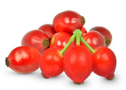 Rosehips Stock Photos