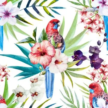 Rosella bird pattern 库存插图