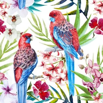 Rosella bird pattern イラスト素材