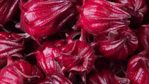 Roselle flowers in a basket Stock Footage 334917431