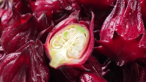 Roselle flowers in a basket Stock Footage 334918258