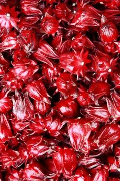 Roselle Foto stock