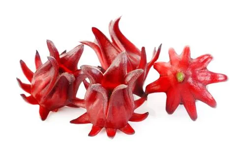 Roselle  on white background Stock Photos