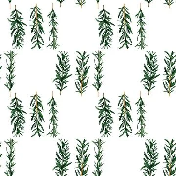 Rosemary aromatic herb. Seamless pattern for prints on wallpaper, textiles,.. Stock Illustration