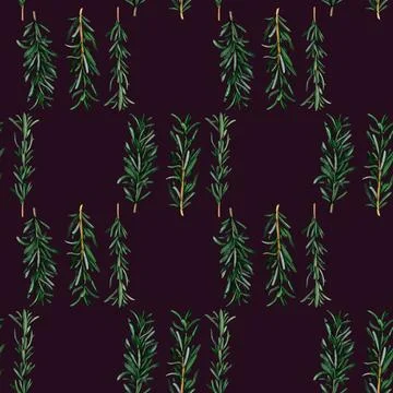 Rosemary aromatic herb. Seamless pattern for prints on wallpaper, textiles,.. Stock-Illustration