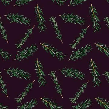 Rosemary aromatic herb. Seamless pattern for prints on wallpaper, textiles,.. Stock Illustration