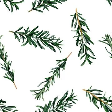 Rosemary aromatic herb. Seamless pattern for prints on wallpaper, textiles,.. Stock Illustration