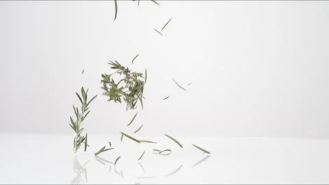 Rosemary Bouncing Slow Motion White Tabletop Closeup Macro Food Studio Stock Footage 335005199