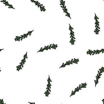 Rosemary branch vector seamless pattern Stock Illustration