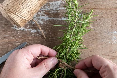 Rosemary branches cut on rustic background Stock Photos