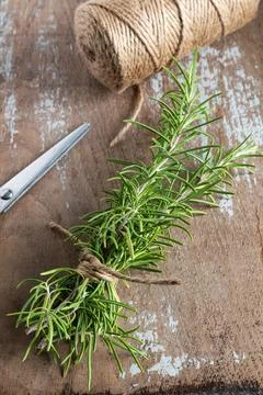 Rosemary branches cut on rustic background Stock Photos