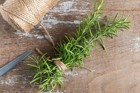 Rosemary branches cut on rustic background Stock Photos
