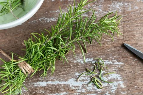 Rosemary branches cut on rustic background Foto stock