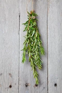Rosemary drying Stock Photos