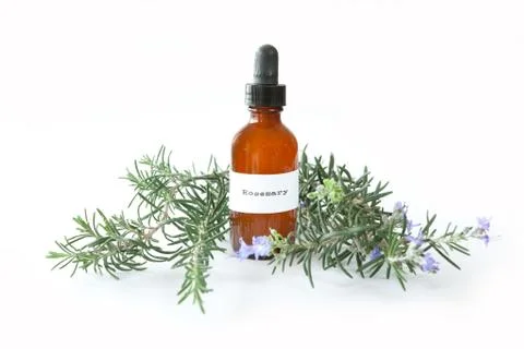 Rosemary extract Stock Photos