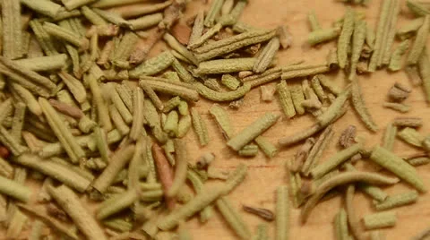 Rosemary Stock Footage 25273917