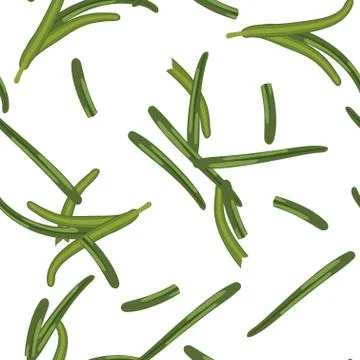 Rosemary Stock Illustration