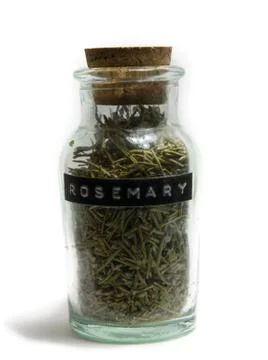 Rosemary Isolation Stock Photos