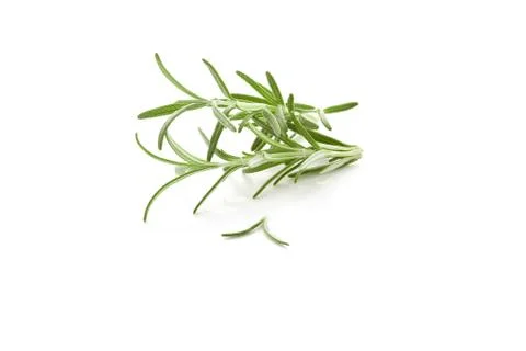 Rosemary Stock Photos