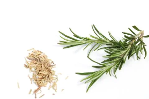 Rosemary Stock Photos