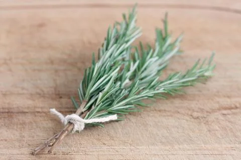 Rosemary Stock Photos