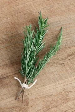 Rosemary Stock Photos