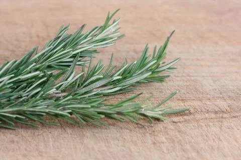 Rosemary Stock Photos