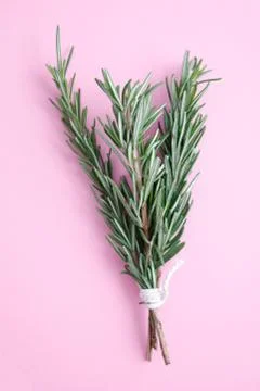 Rosemary Stock Photos