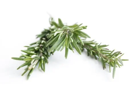 Rosemary Stock Photos