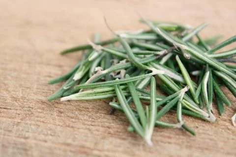 Rosemary Stock Photos