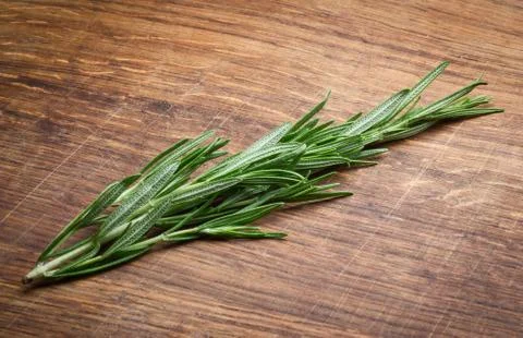 Rosemary Stock Photos