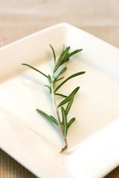 Rosemary Stock Photos