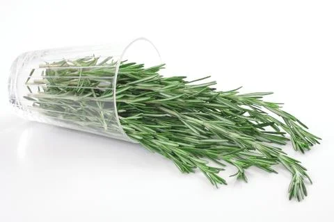 Rosemary Stock Photos