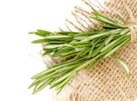 Rosemary Stock Photos