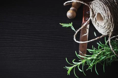 Rosemary Stock Photos