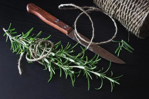 Rosemary Stock Photos