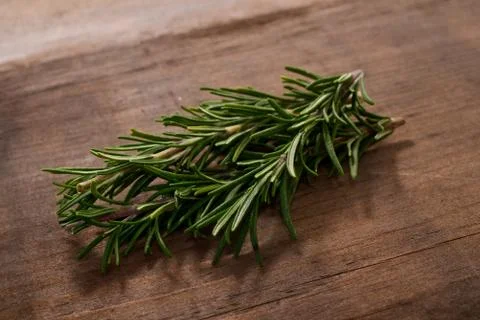 Rosemary 写真素材