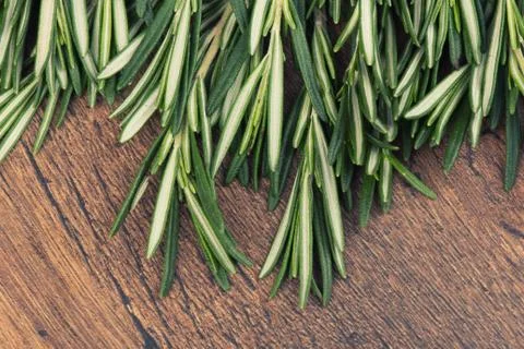 Rosemary Stock-Fotos
