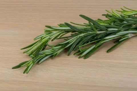 Rosemary Stock Photos