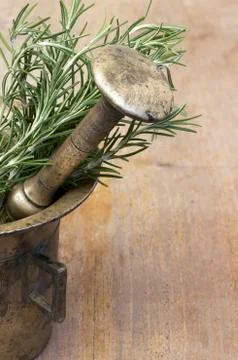 Rosemary Stock Photos