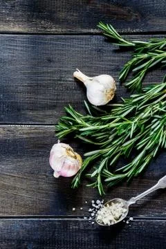 Rosemary Stock Photos