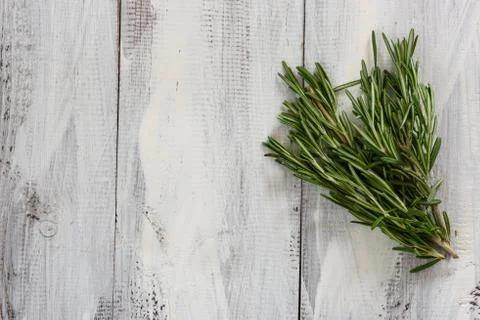Rosemary Foto stock