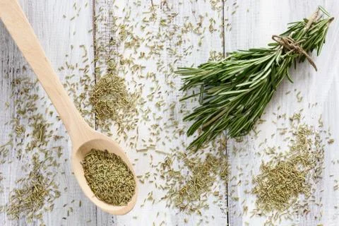 Rosemary 写真素材