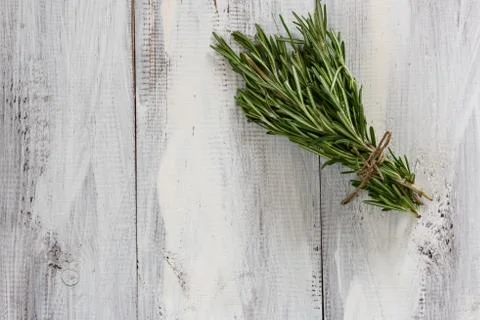 Rosemary 写真素材