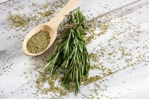 Rosemary 写真素材