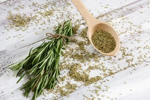 Rosemary 写真素材