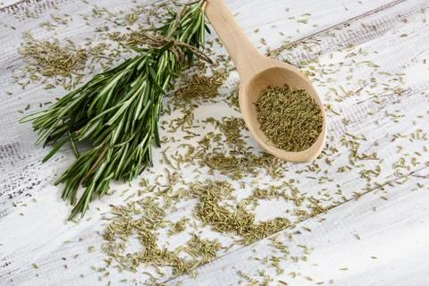 Rosemary 写真素材